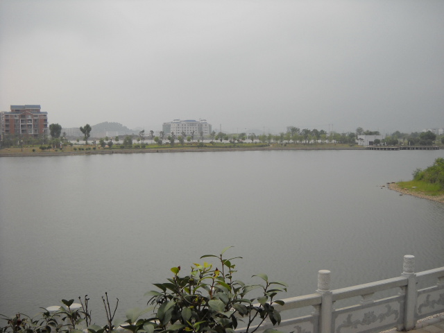 DSCN1384.JPG