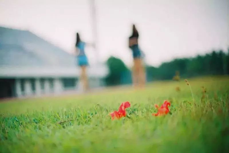 9d6b800158b89b0bf0f40e65c9fec16d.jpg