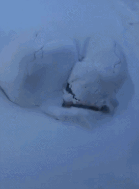 e156cfb3bbd1d37ccf90dbc65f39c41e.gif