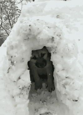 17e34a569173e6ca5a124d7809134ed4.gif