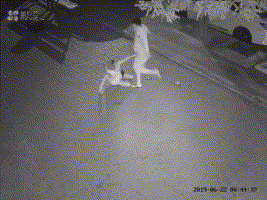 cc402a2383fddddfd5fc613b42f0a36a.gif