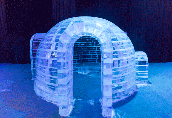 d8e45057250d3d09f77a620115b2d9f9.gif
