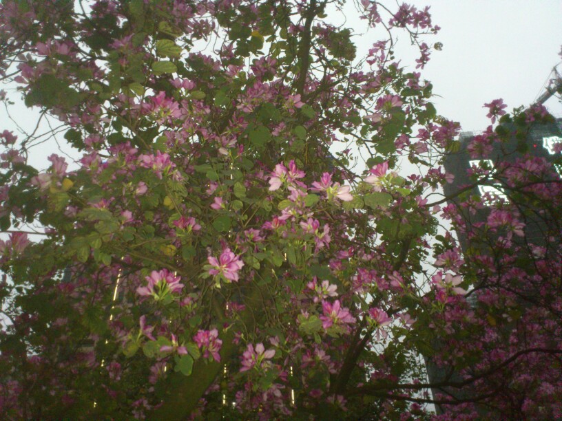 IMG20120410041915.jpg