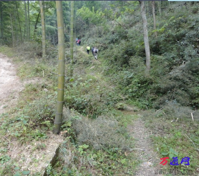 开始向大山的进军.jpg