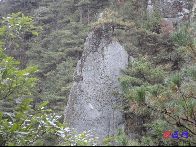 梦笔生花.jpg
