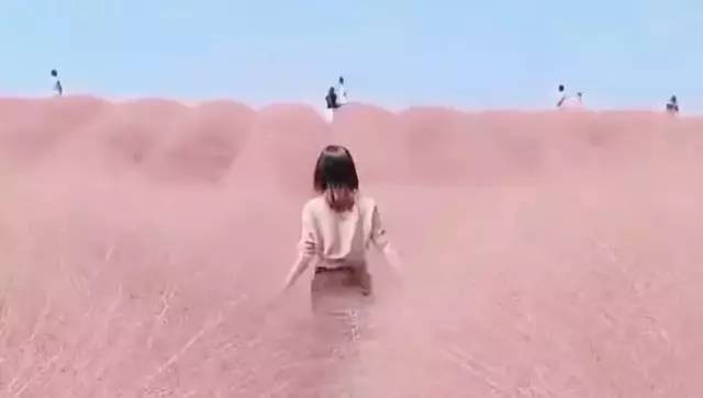 20181020151303141.jpg