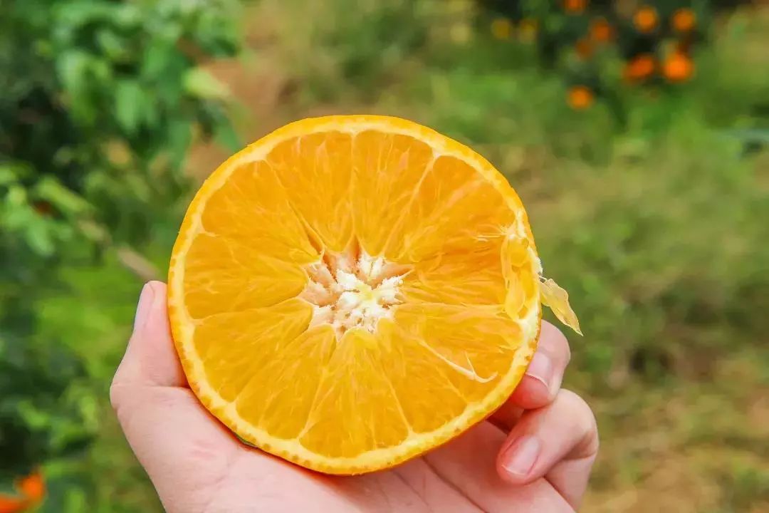 75d997e70c453fe16d277aae974b58c1.jpg