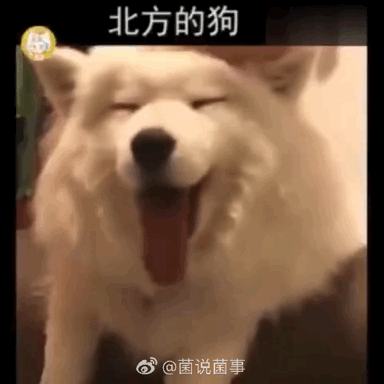 2ff3965161560f2eb102151449e904a7.gif