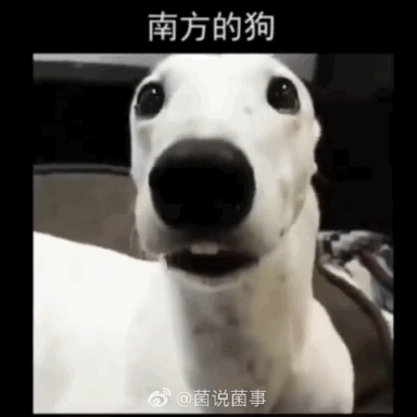3f7d94461512de7bff6e88a6172ad87a.gif