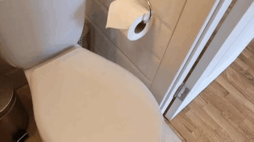cfa11442635ead95ff50204fa5d1f98c.gif