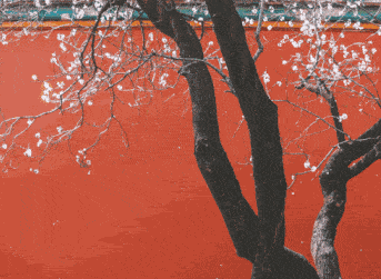 fc2e1193f83c75a5d2d67ba212fe64b7.gif