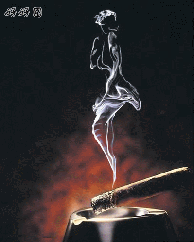 20080531_1db044680b727d57ae96DjNIl1iRFX4u.gif