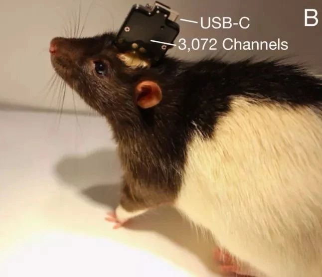 926eb817e7dda2f592514fd24094b400.jpg