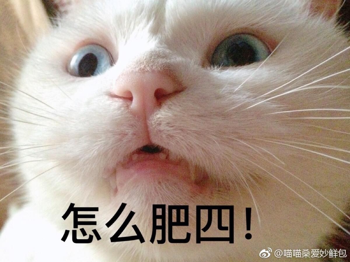 ce0e0c9725c73fa4156d67f33a6083de.jpg