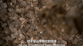 377c5cc667c39474facf61347f6f18a3.gif