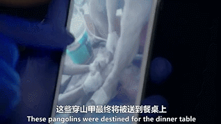 536012afaf60a7ffa3dd787eb827999c.gif