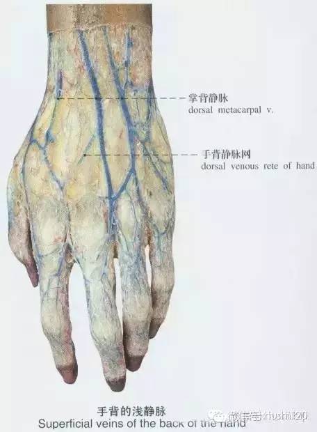 dd758bfb754c4e7f9dacc561aa152faf.jpg