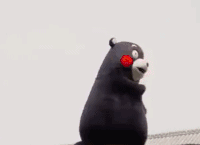 cf073ef4b95bb3b141cb11a3967d66fa.gif