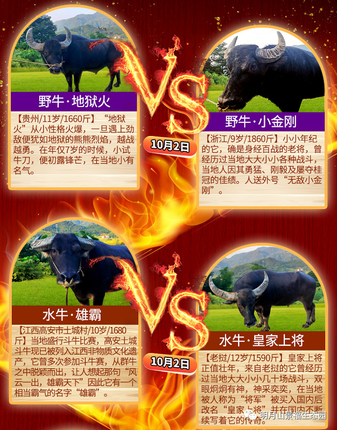 ff6bf1c85f9d0c55649a3a89285b1b82.jpg
