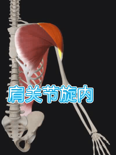 https__3A__2F__2Fmmbiz___qpic___cn__2Fmmbiz_gif__2FScPibNcSI7AQ6icecDG4T0ZHqjODWaz4dPhRB3Y8aFmYKJ6bzCfCsdsxUlWlgNcCnLIuVgxW3KX8icWsibhLsojDFA__2F640__3Fwx_fmt__3Dgif__26tp__3Dwxpic__26wxfrom__3D5__26wx_lazy__3D1&r=https__3A__2F__2Fmp___weixin___qq___com__