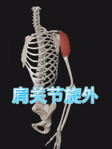 https__3A__2F__2Fmmbiz___qpic___cn__2Fmmbiz_gif__2FScPibNcSI7AQ6icecDG4T0ZHqjODWaz4dPueRSZwv5FKA2qV0DTkOrafUkNHVhcxBeRJN2AiaJPwamcv2KkyEH16w__2F640__3Fwx_fmt__3Dgif__26tp__3Dwxpic__26wxfrom__3D5__26wx_lazy__3D1&r=https__3A__2F__2Fmp___weixin___qq___com__2