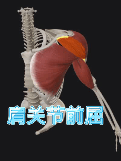 https__3A__2F__2Fmmbiz___qpic___cn__2Fmmbiz_gif__2FScPibNcSI7AQ6icecDG4T0ZHqjODWaz4dPKcibIdibwgs2HLOSZJFZT8PARTpW5iahVPictmpOI4ORkHiarLRb0Wtns6g__2F640__3Fwx_fmt__3Dgif__26tp__3Dwxpic__26wxfrom__3D5__26wx_lazy__3D1&r=https__3A__2F__2Fmp___weixin___qq___co