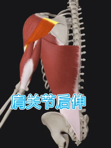 https__3A__2F__2Fmmbiz___qpic___cn__2Fmmbiz_gif__2FScPibNcSI7AQ6icecDG4T0ZHqjODWaz4dPU13DeOCmAhGK6rlHKEYc768zEs054ZYLhCbH62yK7jdYDl9Dy3Xia6Q__2F640__3Fwx_fmt__3Dgif__26tp__3Dwxpic__26wxfrom__3D5__26wx_lazy__3D1&r=https__3A__2F__2Fmp___weixin___qq___com__2