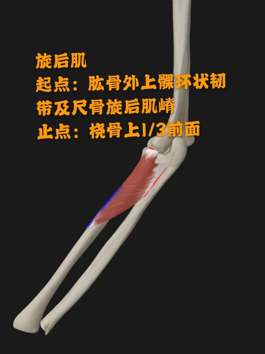 https__3A__2F__2Fmmbiz___qpic___cn__2Fmmbiz_jpg__2FScPibNcSI7ARdlIOibH7ftk4bLMOg6pqfYicjp3vIHRC6k6Aeb75wpvp7ezOgdn2bibfqvic7PzVEbRETqRJIUbO9Cg__2F640__3Fwx_fmt__3Djpeg__26tp__3Dwxpic__26wxfrom__3D5__26wx_lazy__3D1__26wx_co__3D1&r=https__3A__2F__2Fmp___wei