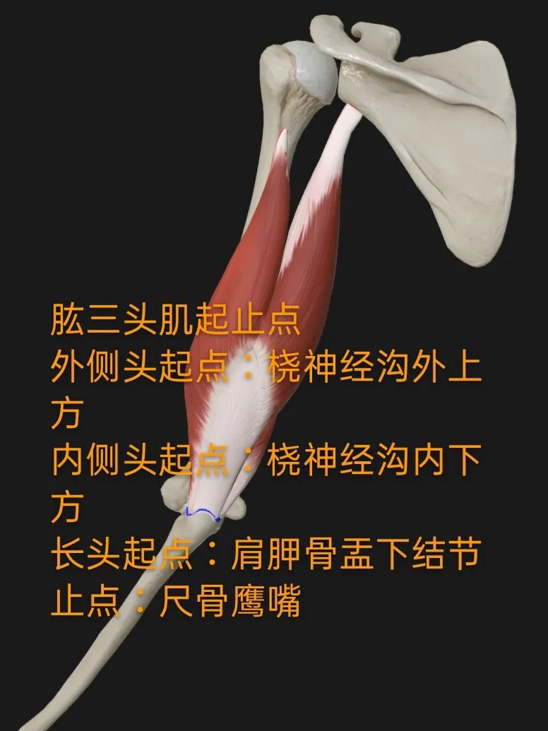 https__3A__2F__2Fmmbiz___qpic___cn__2Fmmbiz_jpg__2FScPibNcSI7ARdlIOibH7ftk4bLMOg6pqfY6Fy6xKuSmiba6eu1XotbxicG2Zib3QgEPH9VVv4O48ujjt2wAJgJgzPbw__2F640__3Fwx_fmt__3Djpeg__26tp__3Dwxpic__26wxfrom__3D5__26wx_lazy__3D1__26wx_co__3D1&r=https__3A__2F__2Fmp___wei