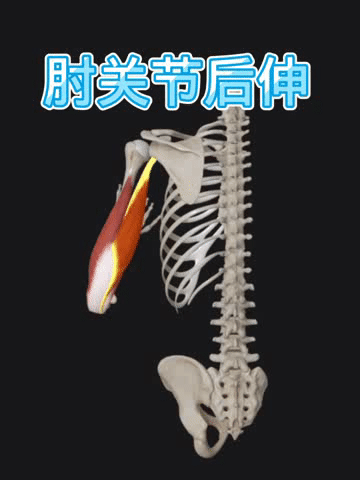 https__3A__2F__2Fmmbiz___qpic___cn__2Fmmbiz_gif__2FScPibNcSI7ARdlIOibH7ftk4bLMOg6pqfYjJnRKhKS1UjdrWr5ibXb2H0EOcNA1385rh8ZB1hlw4qZlhQjvObkatQ__2F640__3Fwx_fmt__3Dgif__26tp__3Dwxpic__26wxfrom__3D5__26wx_lazy__3D1&r=https__3A__2F__2Fmp___weixin___qq___com__2