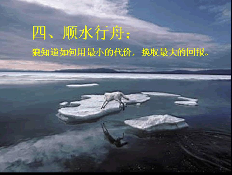 图片5.jpg