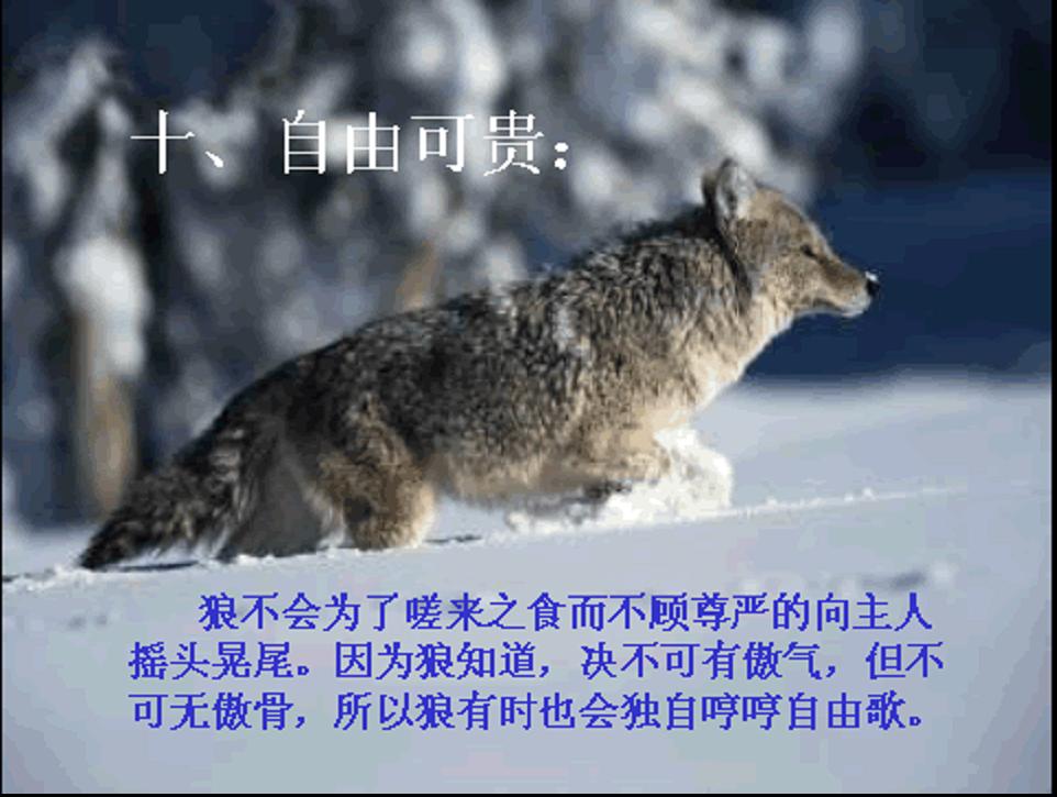 图片11.jpg