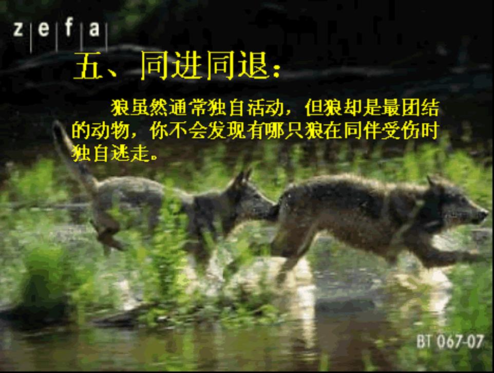 图片6.jpg