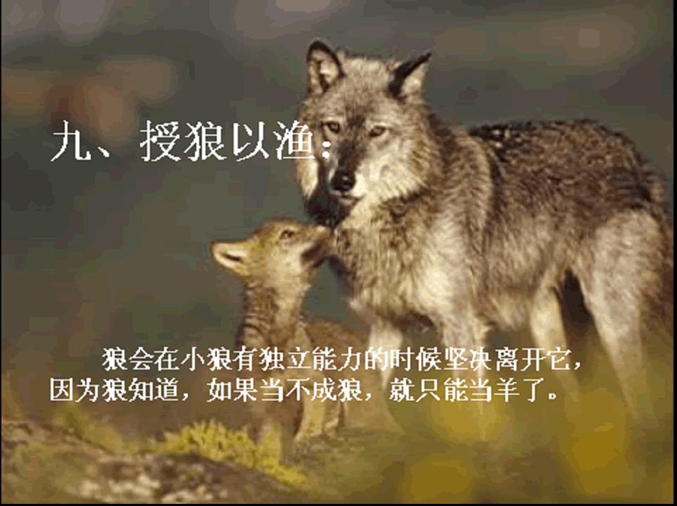 图片10.jpg