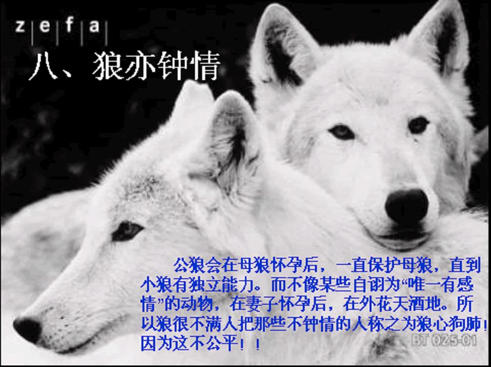 图片9.jpg