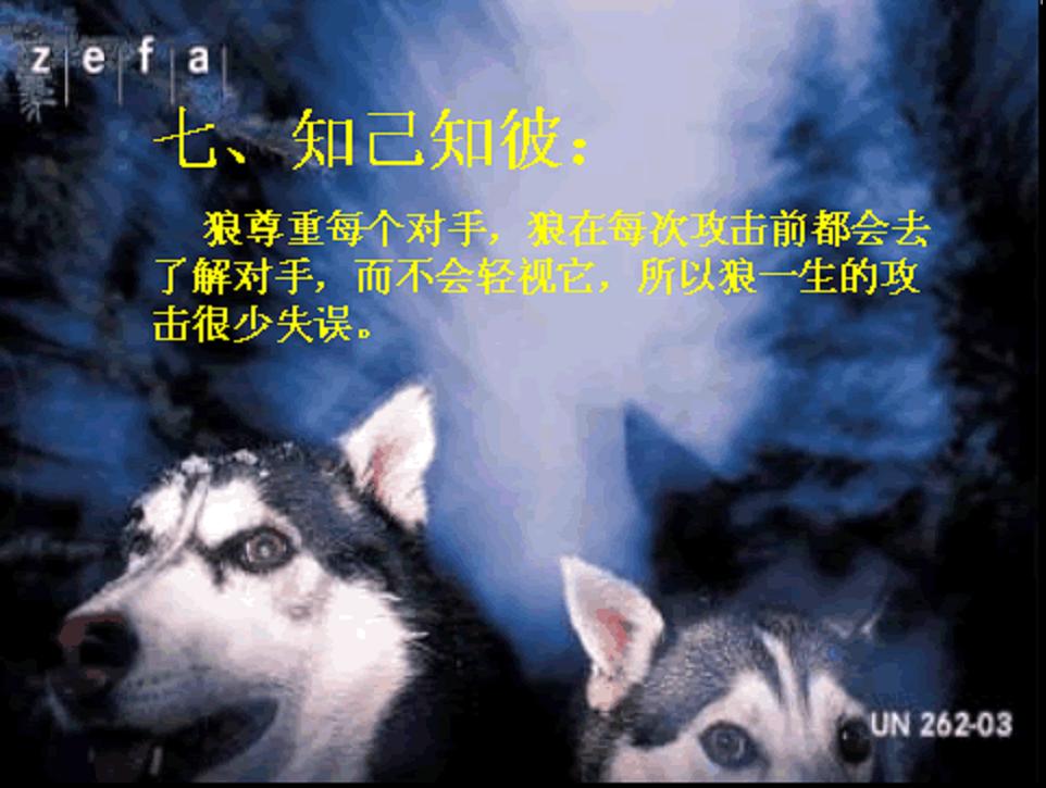 图片8.jpg