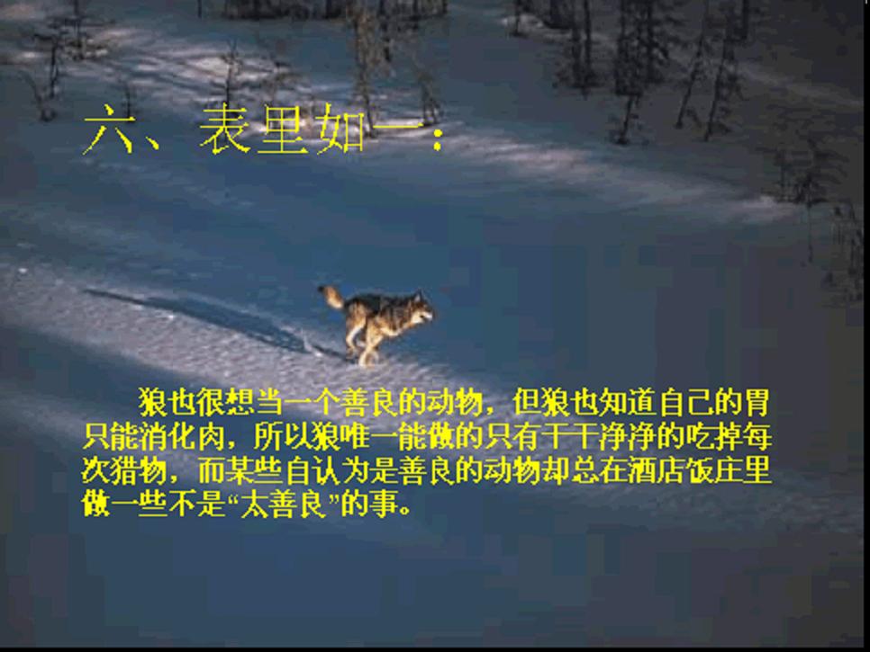 图片7.jpg